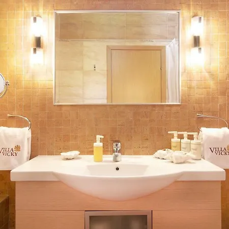 Vv Luxury Experience ヴィラ *