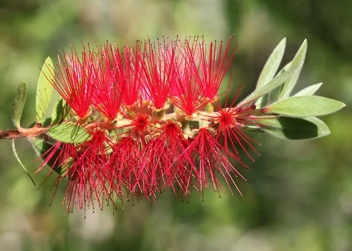 Vv Luxury Experience *